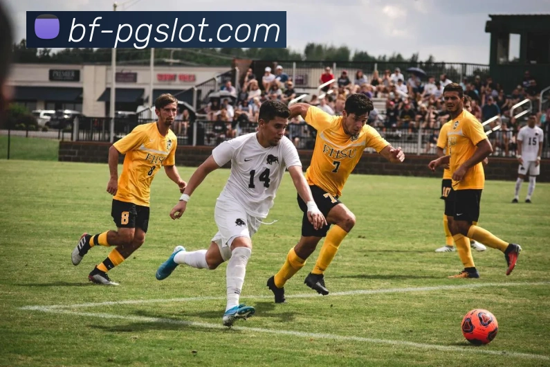 麻将胡了PG官网APP 体育赛事宣传图